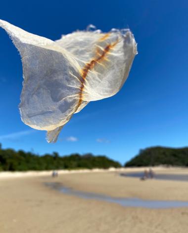 fabric blowing in the wind on a beach