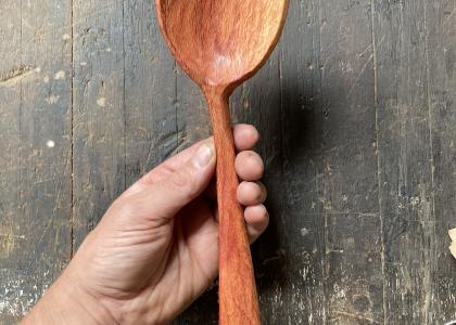 A hand holding a hand carved spoon. 